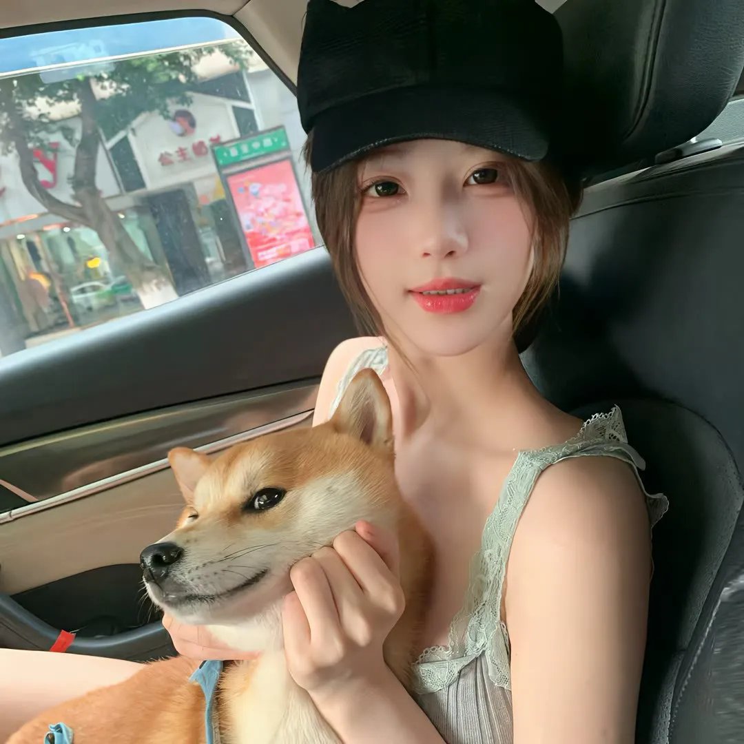 固执的爱